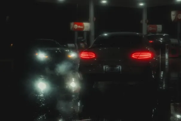 Casino Dove Bingo Android/iOS App